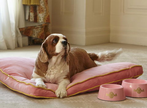 The Langham Sydney - Accommodation NT 23