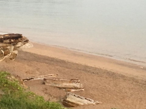 Nightcliff Foreshore Getaway - McKay Gardens - Accommodation NT 28