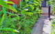 Palms City Resort - thumb 7
