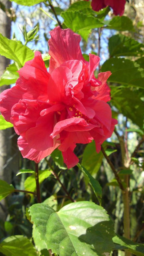 Darwin Beach Escape Holiday Home - Accommodation NT 24