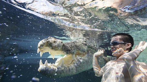 Darwin Beach Escape Holiday Home - Accommodation NT 33