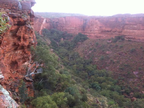 Discovery Resorts - Kings Canyon - Accommodation NT 34