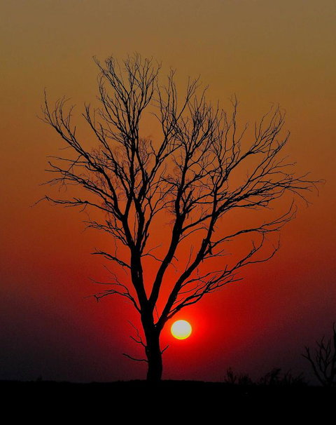 Discovery Resorts - Kings Canyon - Accommodation NT 43