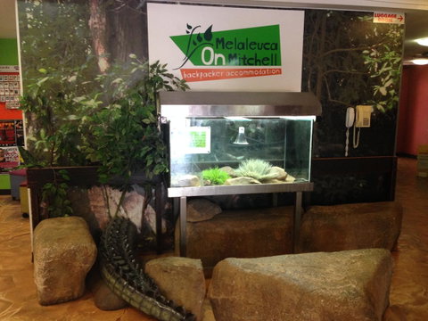 Melaleuca On Mitchell - Darwin YHA - Accommodation NT 32