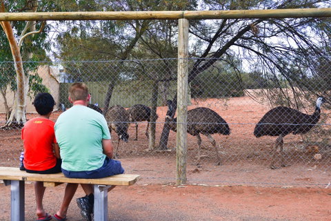 Erldunda Desert Oaks Resort - Accommodation NT 21