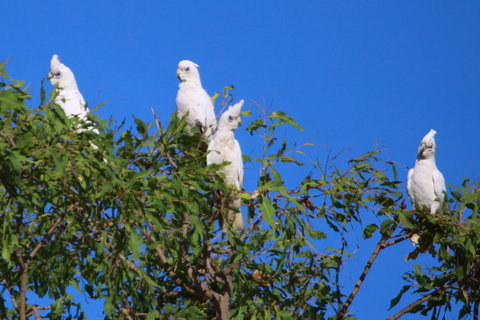 Aurora Kakadu Lodge - Accommodation NT 9