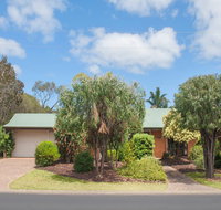 Bottlebrush - Accommodation NT