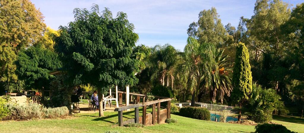Mount Arthur NSW NT Tourism
