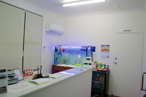 Buckaroo Motor Inn - Accommodation NT 1