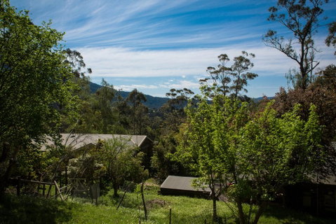 Buttercup Hill - Accommodation NT 2