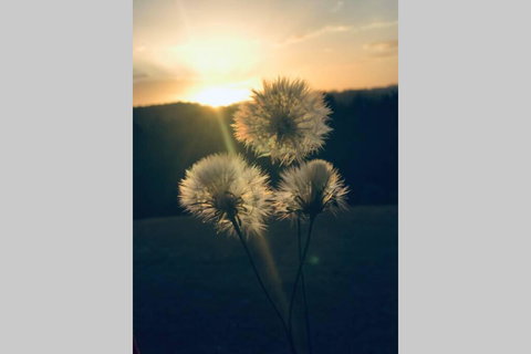 Byron Bay Hinterland House - Amazing Sunset Views! - Accommodation NT 3