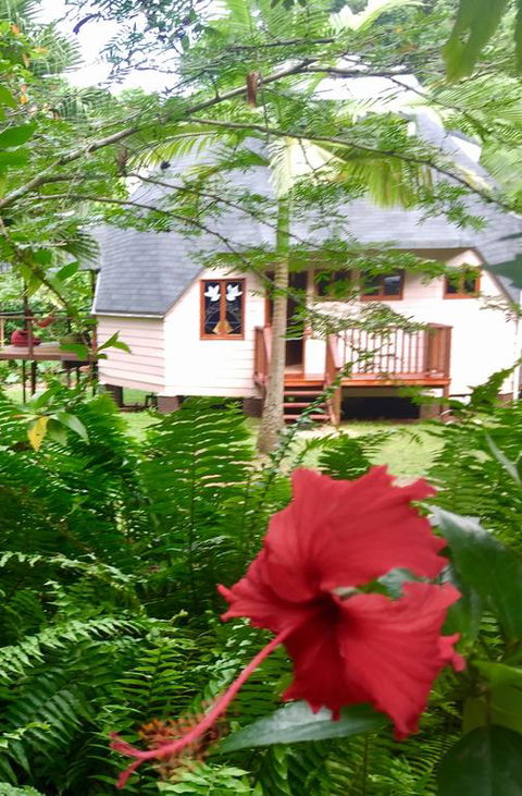 Cape Tribulation Holiday House - Accommodation NT 3