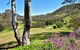 Capertee National Park Cottages - thumb 0