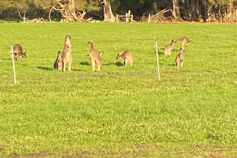 Carbunup Cottage - NT Tourism 0