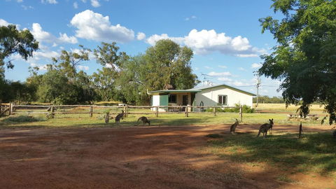 Charleville Bush Cottage - Accommodation NT 1