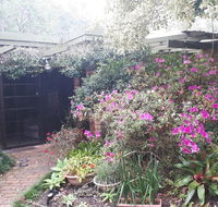 Charming country house close to Grafton - NT Tourism