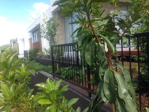 City Pads 2 - Accommodation NT 0