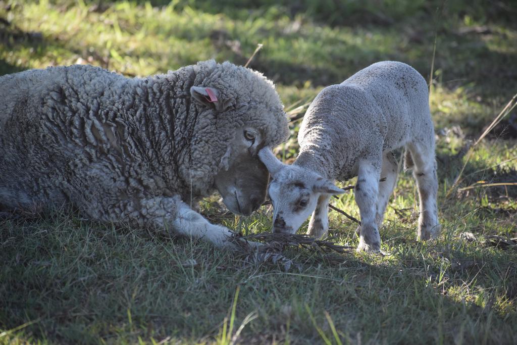 Boyland QLD Accommodation NT