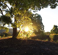 Clarendon Forest Retreat - Accommodation NT