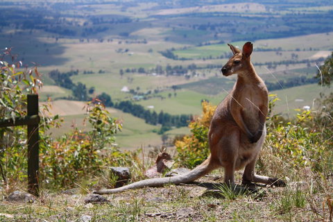 Corroboree Spa Cabin- Eaglereach - Accommodation NT 1