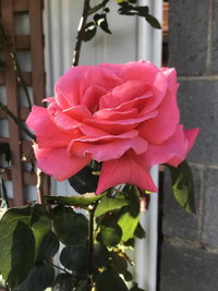 Book Mulgrave Accommodation Vacations Accommodation NT Accommodation NT