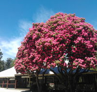 Crossways Country Inn - Accommodation NT