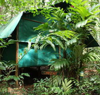 Daintree Crocodylus - Accommodation NT