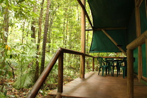 Daintree Crocodylus - Accommodation NT 1