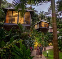 Daintree Ecolodge - Accommodation NT