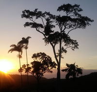 Daintree Holiday Homes - Yurara - Accommodation NT