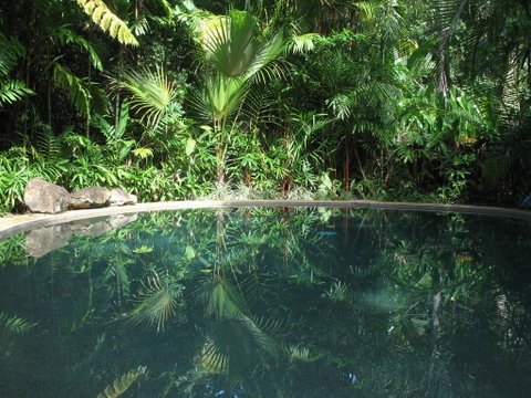 Daintree Rainforest Retreat Motel - Accommodation NT 0