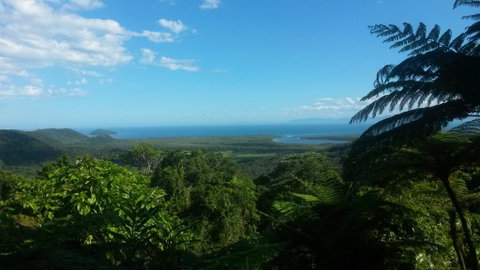 Daintree Village Hideaway - Accommodation NT 1