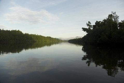 Daintree Village Hideaway - Accommodation NT 2