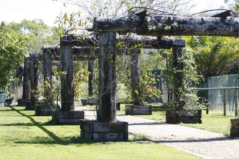Daintree Wild Bed & Breakfast - Accommodation NT 2