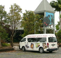 Daintree Wild Bed  Breakfast - Accommodation NT