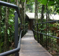 Daintree Wilderness Lodge - Accommodation NT