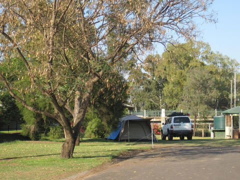 Dalby Tourist Park - NT Tourism 3