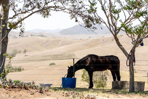 Dam It Getaway Tiny House - Accommodation NT 1
