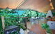 De Shed Shannonvale - thumb 2