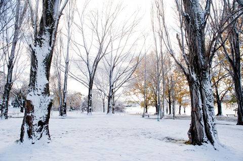 Discovery Parks - Jindabyne - Accommodation NT 3