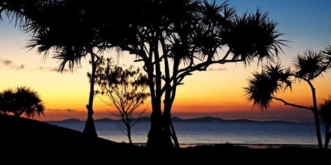 Driftwood Motel And Holiday Units - Accommodation NT 2