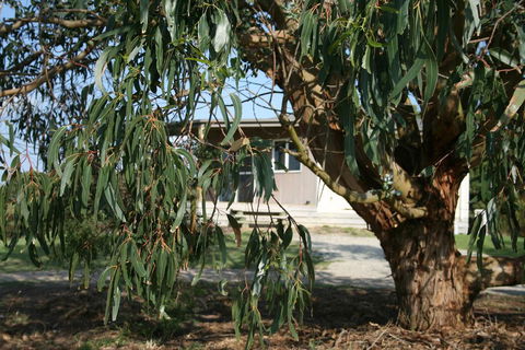 Driftwood Villas - NT Tourism 3