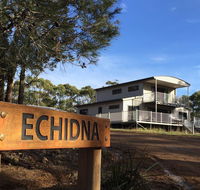 Echidna on Bruny - NT Tourism