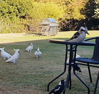 Eildon Parkview Motor Inn - NT Tourism