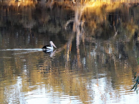 Euston Club Motel - Accommodation NT 0