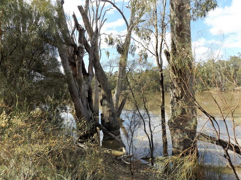 Euston Club Motel - Accommodation NT 3