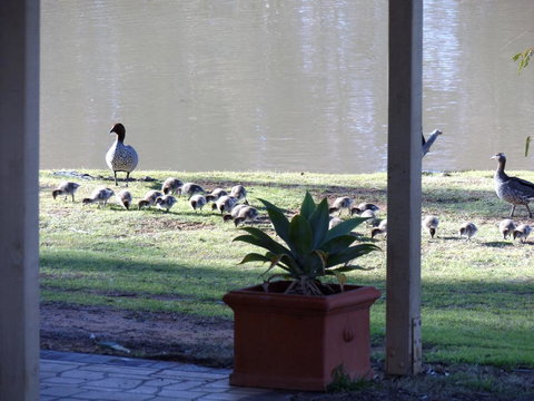 Euston Club Motel - Accommodation NT 1