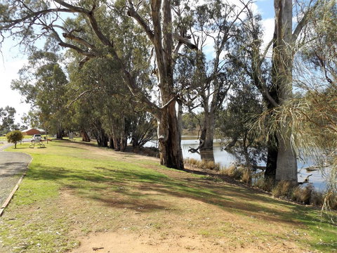 Euston Club Motel - Accommodation NT 2