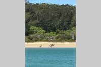 FAIRVIEW COTTAGE 25B - Waterfront accommodation