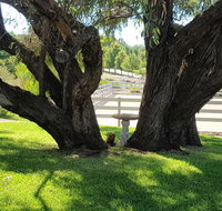 Farm Stay Studio - Accommodation NT